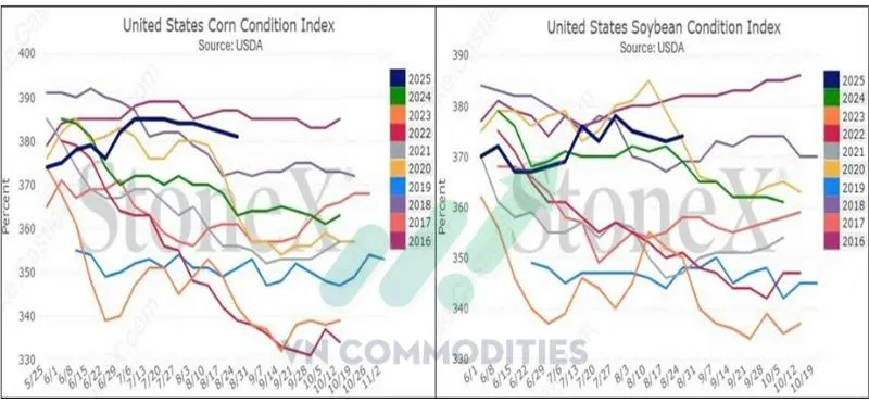 Tin n&ocirc;ng sản 3